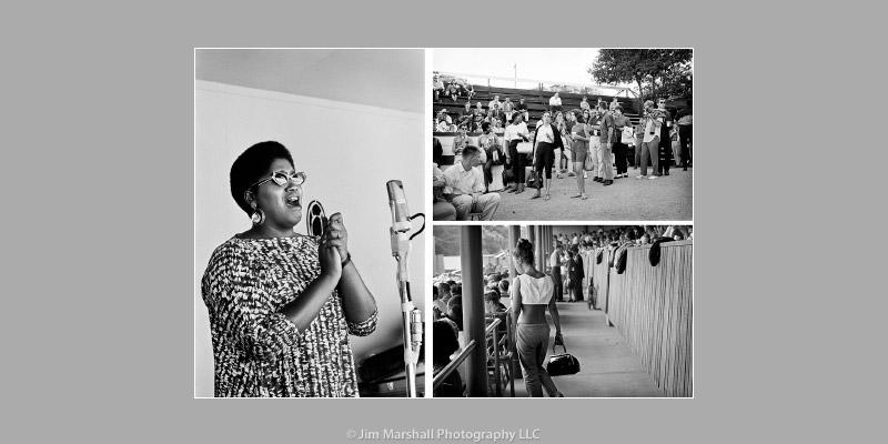 "Jazz Festival" image4