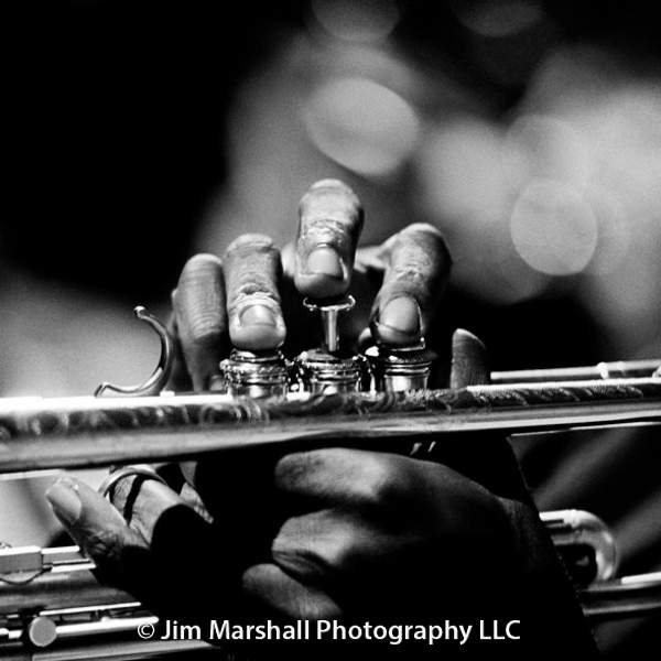 Miles Davis's Hands, Monterey Jazz Festival 1963