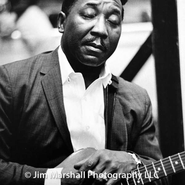 Muddy Waters